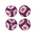 PALLONE DA CALCIO MISURA 5 2024/25